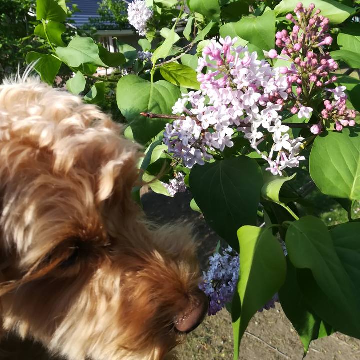 1eabc8c5 5793 462d b20a d2a4ad178839 1558046394009