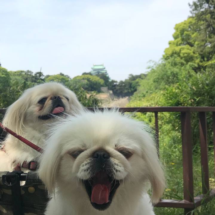 1eac3389 4390 426d 9d14 74d0e8315ec5 1524385368254