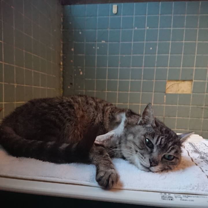 1eac8e4d 191b 40f3 ba70 75c8e227b97b 1587633470264