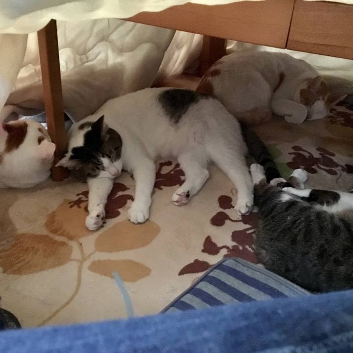 1eac9354 0eae 4463 bdf4 0e4fe143e1ac 1516773378423