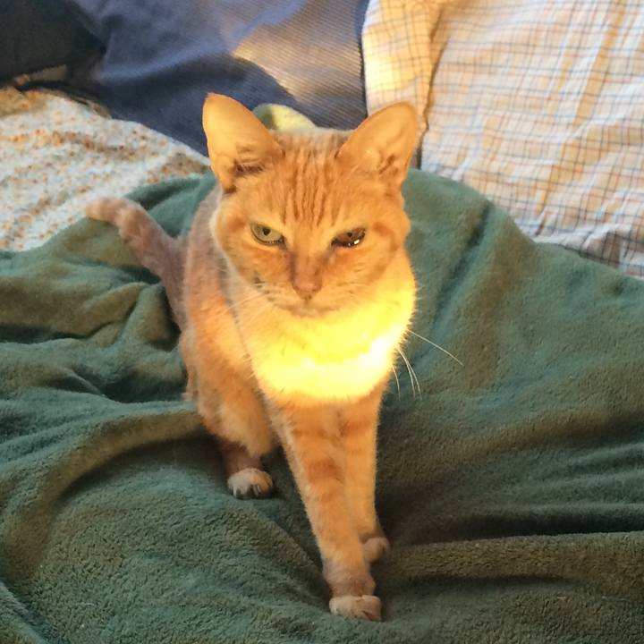 1eacad56 88a3 4e28 a98e c61167e98dc9 1537811171482