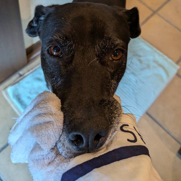 1eacb363 dc9c 46c1 8e19 40b32f3265f7 1728951766515