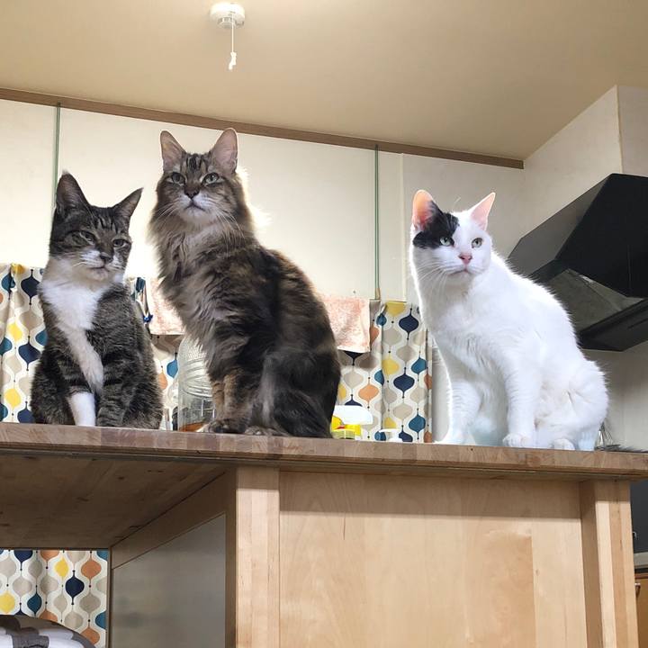 1eacb8f4 15db 48fb bcbb fbfb2a92b0a8 1612391365513