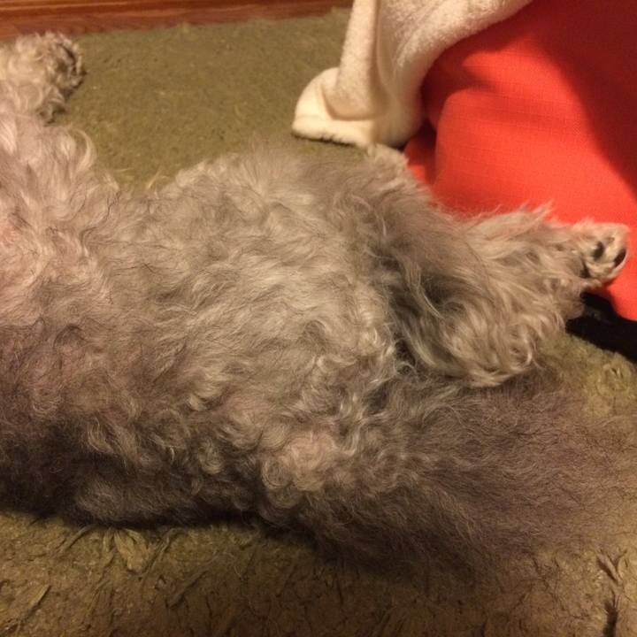 1eaccc79 250d 4778 8e14 ade0b1862357 1519946065328