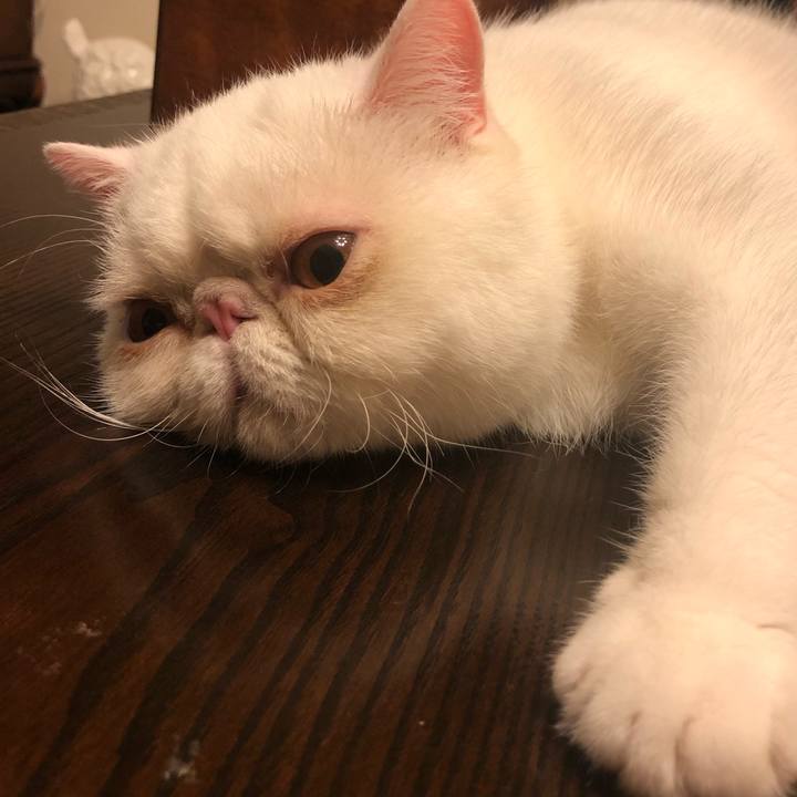 1ead0035 64a5 443a b6ab d4fc86fc373f 1599043657718