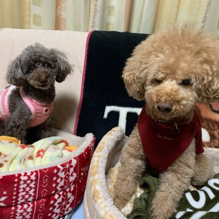 1ead19c7 68d8 49f9 b26f 039bfe20ae97 1581931323907