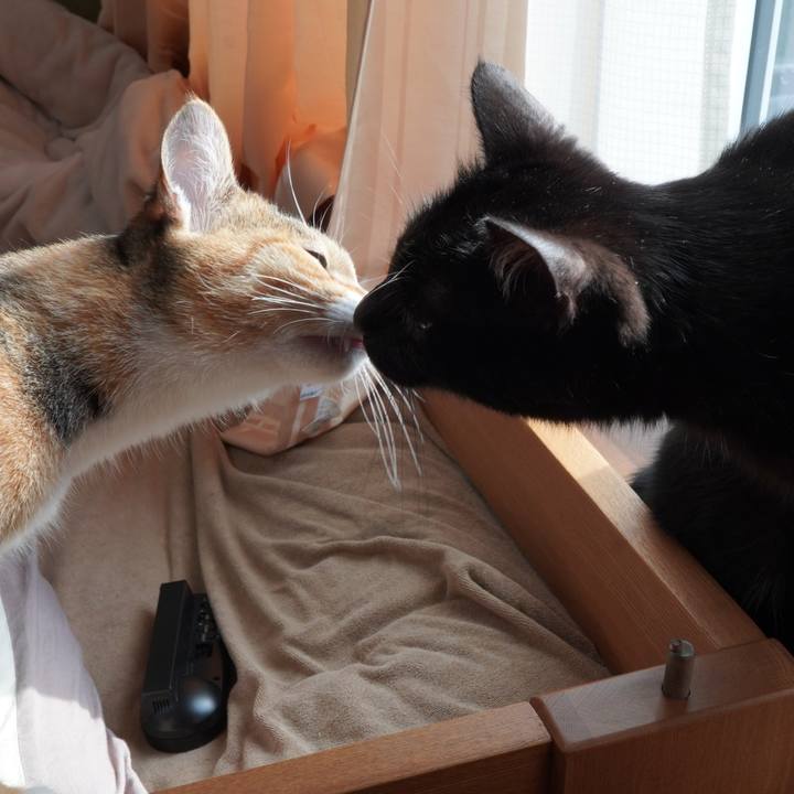 1ead6a03 d9f0 4ab5 aca3 a938fc957975 1585230343896