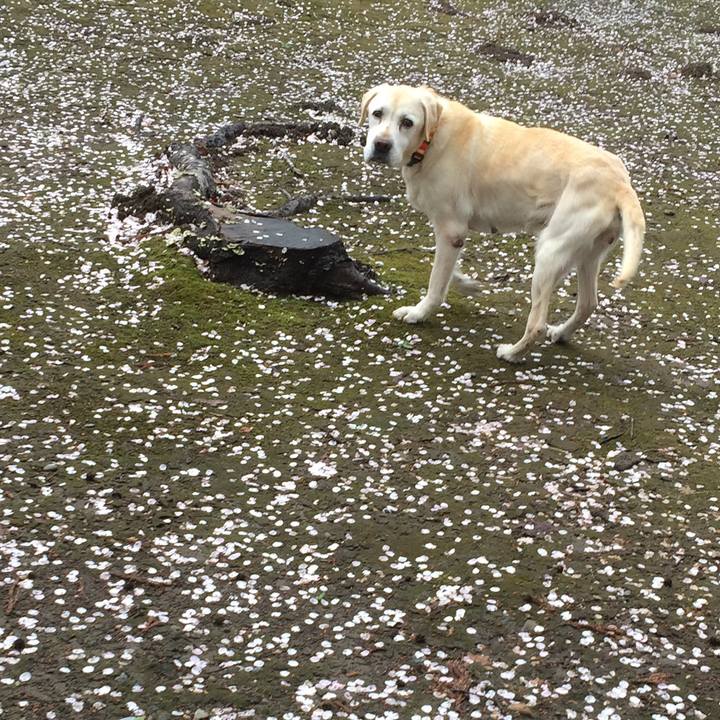 1ead88f6 2a6d 4756 b57a 52ca340e9eaa 1560740950477