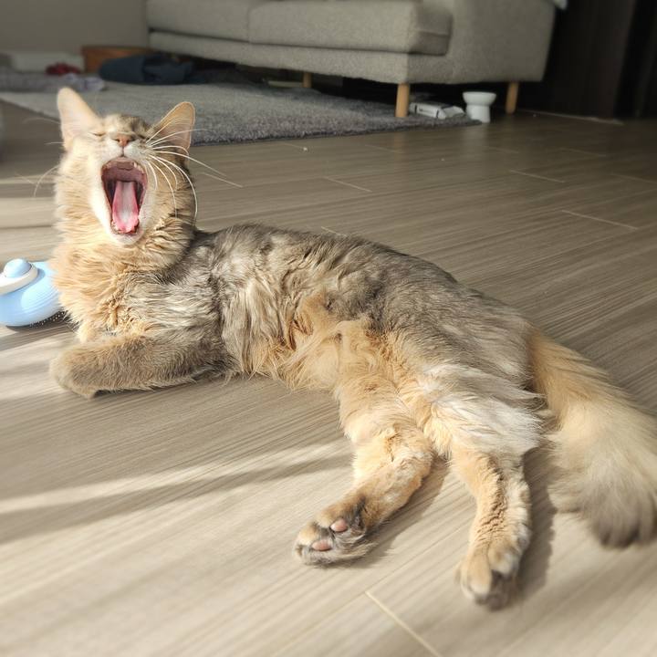 1ead96cf 897c 44a8 a232 7810e9d6a675 1770964491239