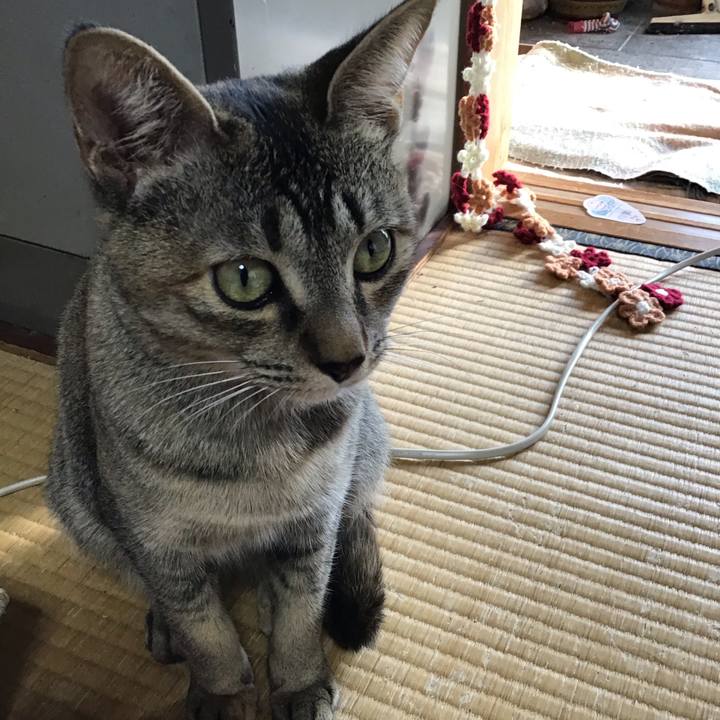 1eadbb77 6ff1 478f bf7e 36e3be13a338 1577252434701