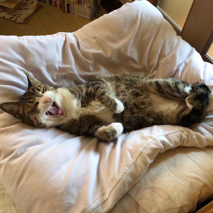 1eadc117 1ce8 4bce 9160 3d414a354f15 1591607913447