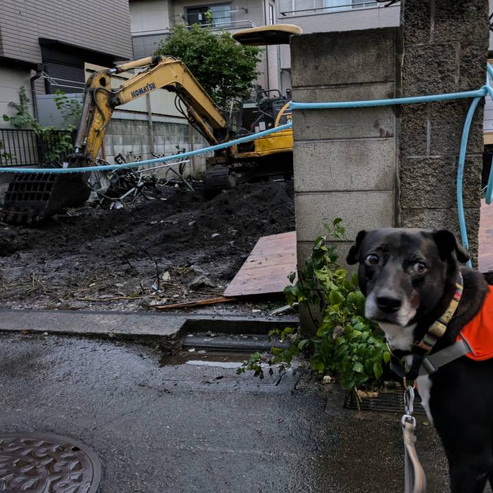 1eadc393 81aa 49e4 a4b3 4448e53be80d 1724757859356