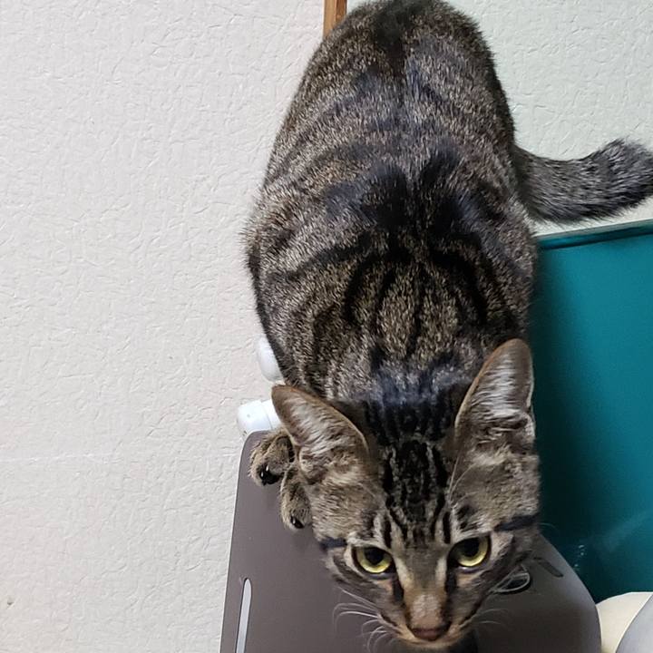 1eadd9fa 8e6a 4888 b14e ce81ded1de88 1547903828419