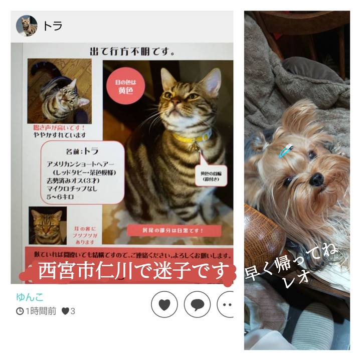 1eae15d7 144a 4a35 83d0 47874862bd49 1636728224475