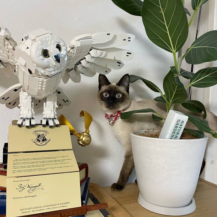 1eae39ea 2141 4486 890f 6516261c6c17 1710274171143