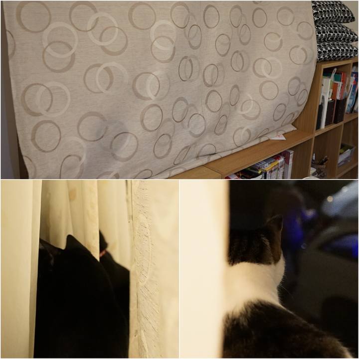 1eae6f91 8bf9 4f1b 9350 b69f62dfd784 1558880536180