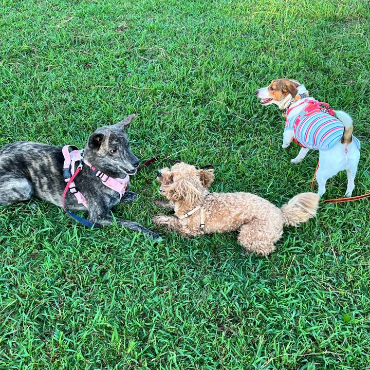 1eae7b1f 991c 42ae a33d 63458e9d2415 1726284482677