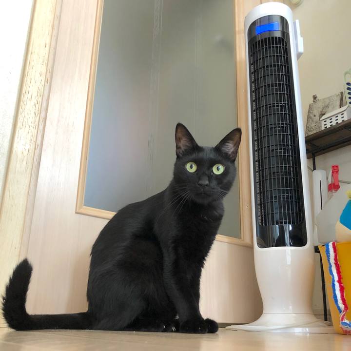 1eae7b69 86db 4275 b63a 6fc98713bdfd 1535252558222