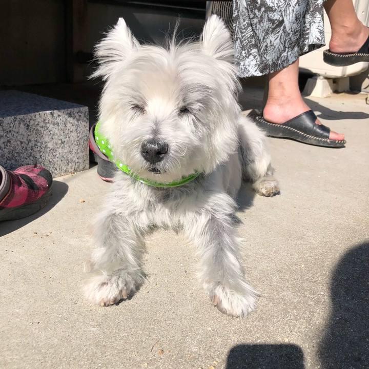 1eae81dd 2209 42d4 8774 0357104f2c8d 1666244246512