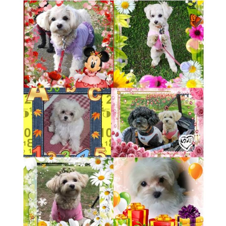 1eaeae99 2825 43dd 9bde 8663223e9d18 1560510596727