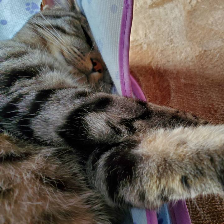 1eaeef41 0039 4a9a abd4 6d0c775cd0f1 1714475455400