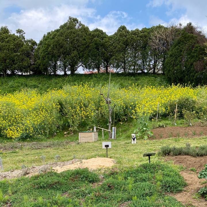 1eaef040 94f5 4ef3 9d52 d7436a50505e 1586072110503