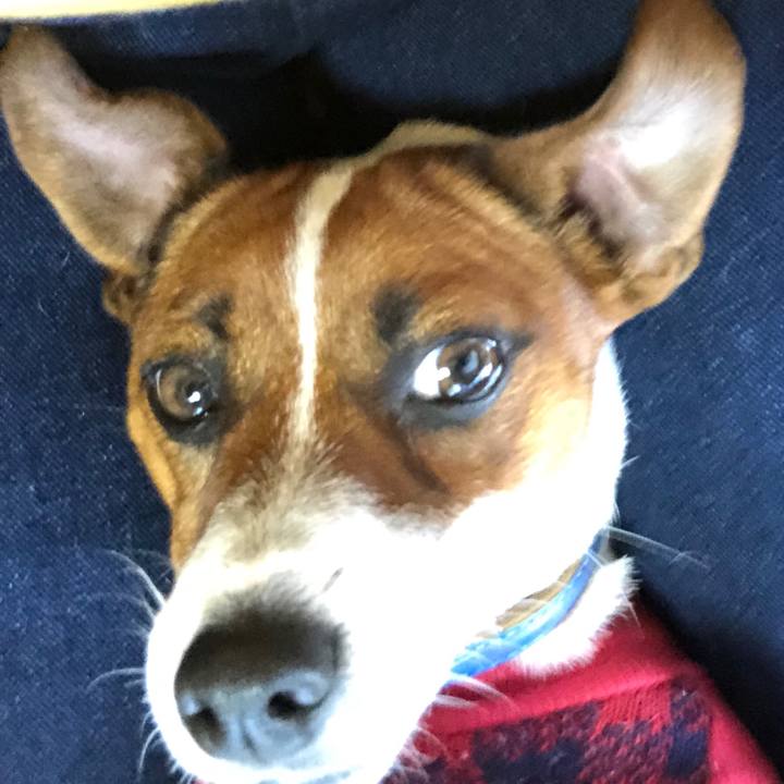 1eaf1e9d 7f89 452e 9cba c4fb55771f90 1548138778440