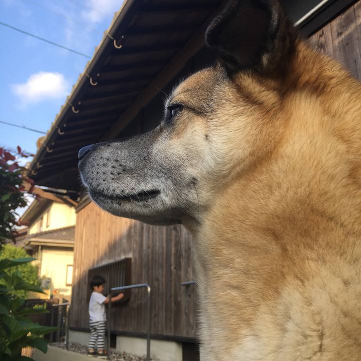 1eaf238b 3b02 48e0 bc44 792c53e25910 1528535761550