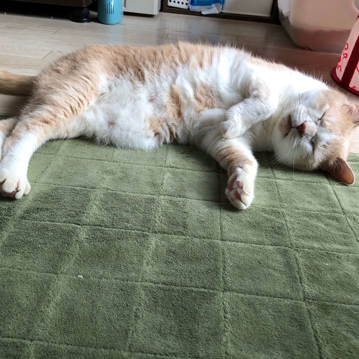 1eaf2e5d b429 4162 a243 e42ed69b82e6 1629412909467