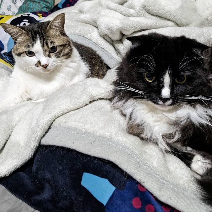 1eaf3f03 8538 4800 b4f9 64c785b1c91d 1676416914379