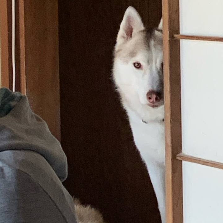 1eaf4410 0b16 441f bb5a 5ca811204043 1607661263733