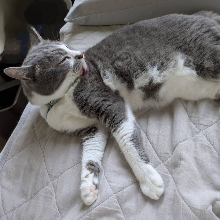 1eafab5a 1fd5 4755 85e1 5c66e2942faa 1751071335586