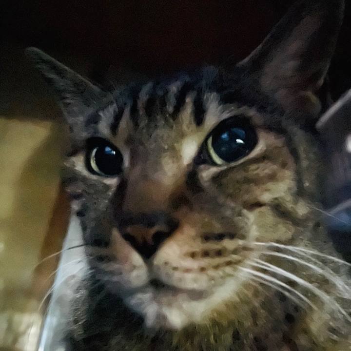 1eafb325 84ce 4f65 8028 8c0dc96ae3d0 1604107007156