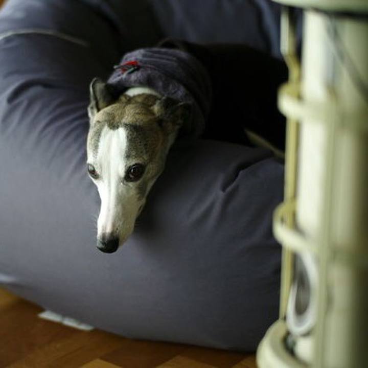 1eafda70 2884 4423 95ab 627088af304b 1512382925494