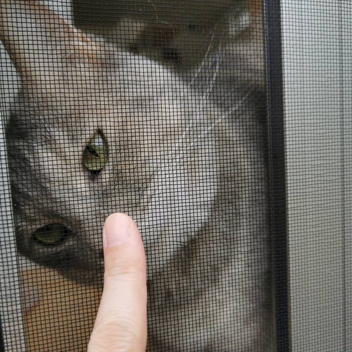 1eb0003f 6256 4da0 8272 900bb4a5b4a9 1626753216357