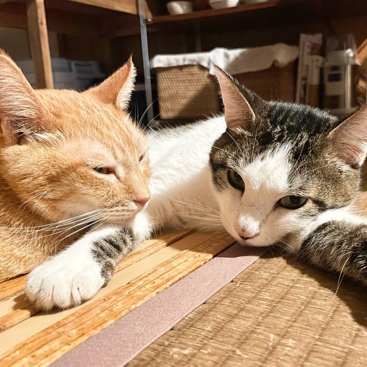 1eb0077d 5f7f 4b1e 992b 3240d2a313ee 1769593740661