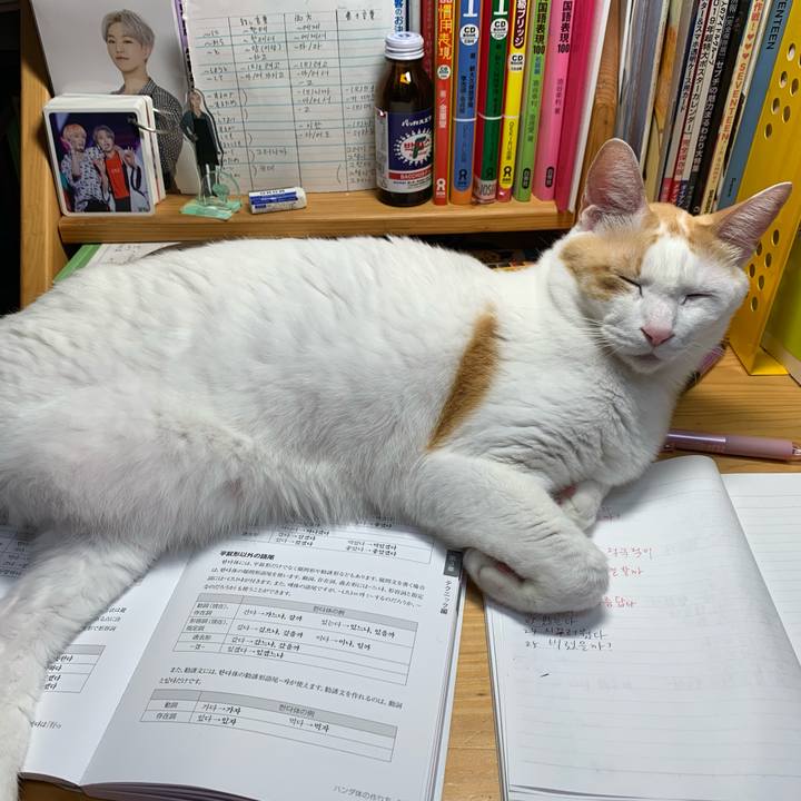 1eb01fe7 e78a 482a 8dd7 42d6f2aea503 1609770760390