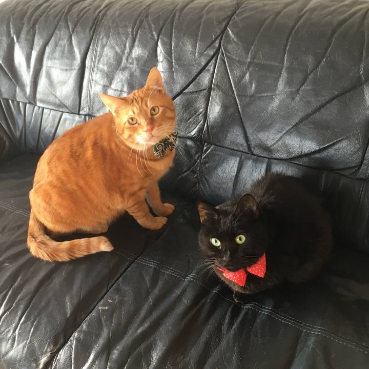 1eb02d82 b2f2 4d9d 9196 220fe76811ad 1553034024119