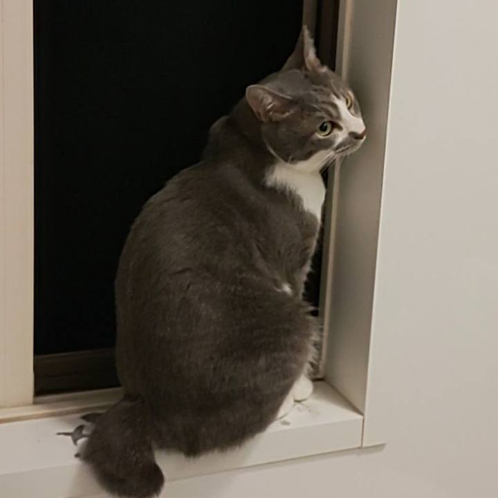 1eb03805 e8c2 4fff a13d a1c7c634cf90 1655468511565