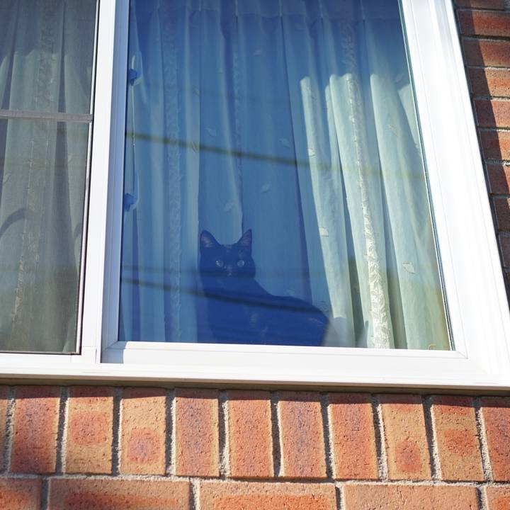 1eb03f40 1f7b 4533 b6f8 4818856ff2ec 1555405734475