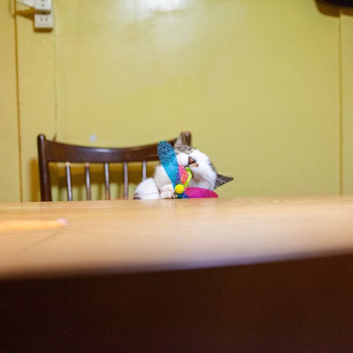 1eb044eb b590 459e b10e 9653ca4c066e 1583578494682