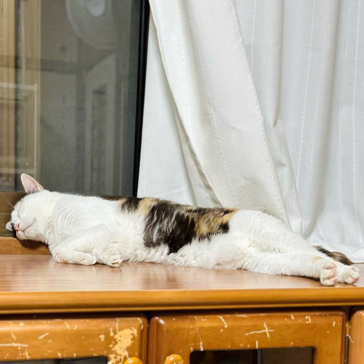 1eb0572d 35df 405f ba5d a1674f742ec5 1691543310763