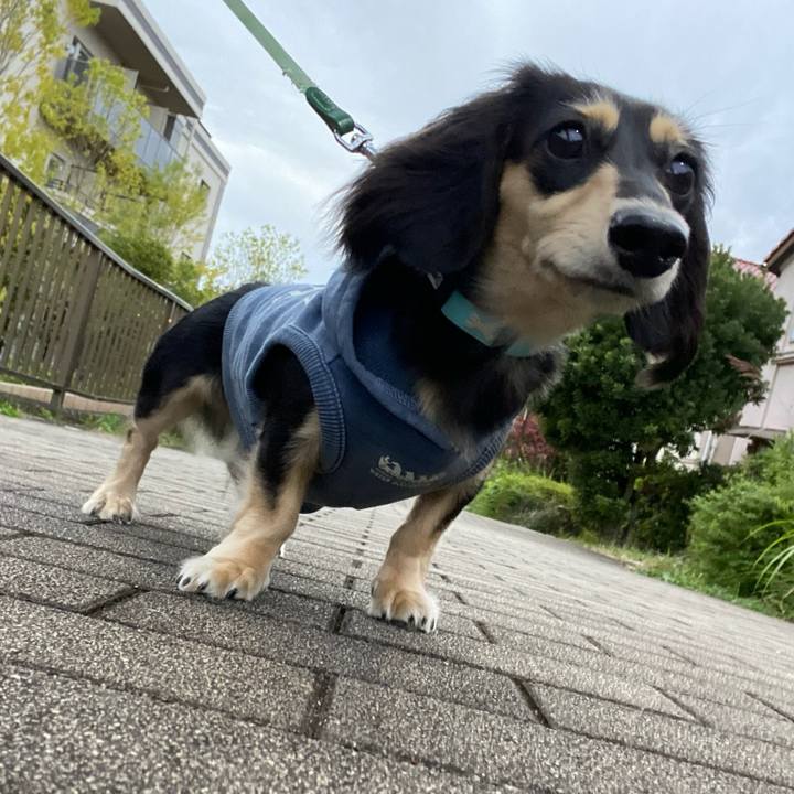 1eb05c70 0e6e 4501 b77c 60e83b0b778d 1699429527922