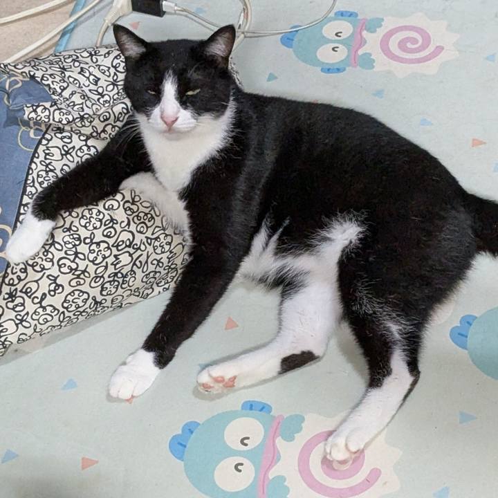 1eb07895 45d5 4ef5 a32e 6b2730e9edf4 1754569256538