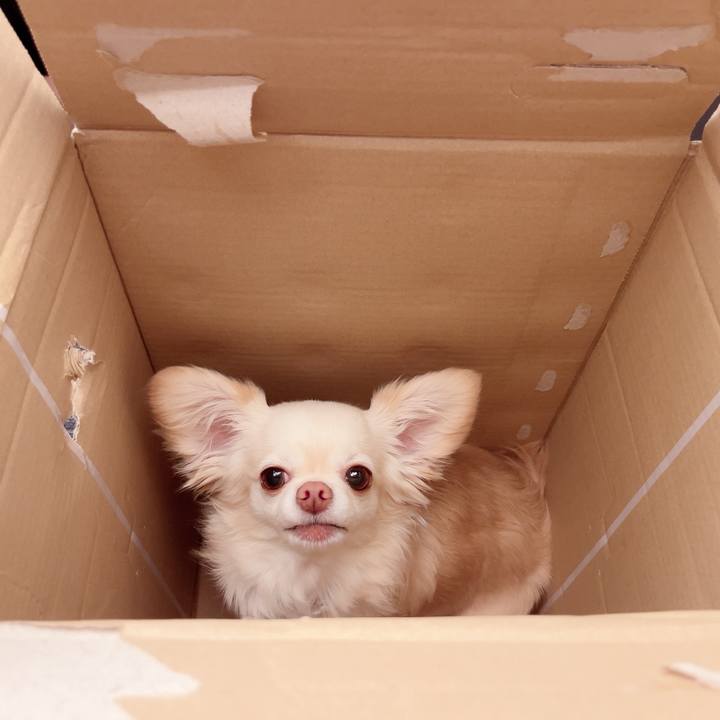 1eb0ba51 0498 4196 ab24 79a749c49342 1718585022277