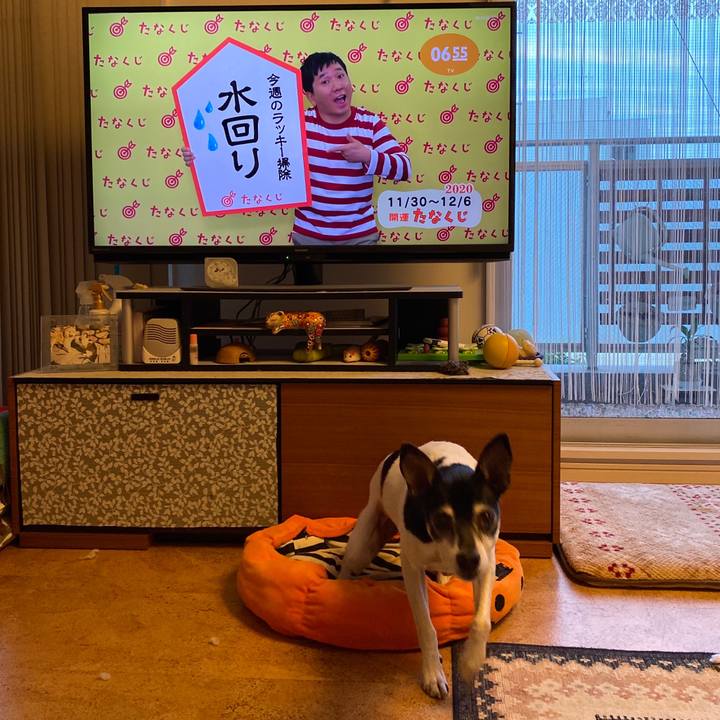 1eb0ec87 0d68 489d 9aee 520fe69aa9ed 1606688061284