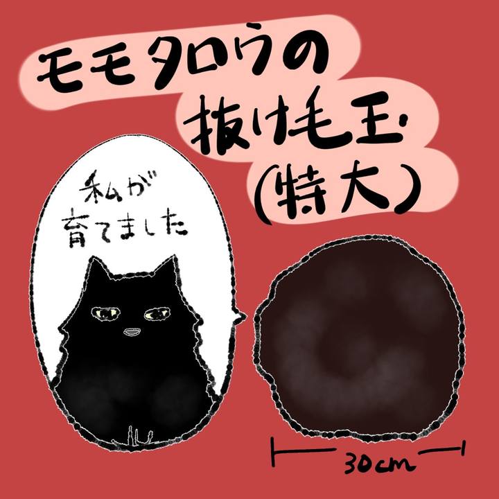 1eb10b7d 5867 4acc b25e 92c517fe487c 1661919993405