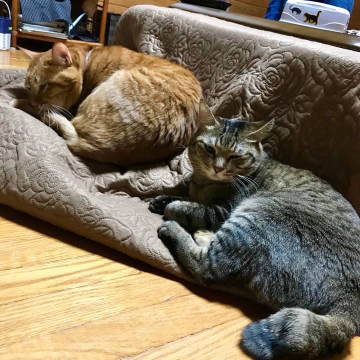 1eb1636a 7ba7 45de afcd 714021d6ae65 1509978296691