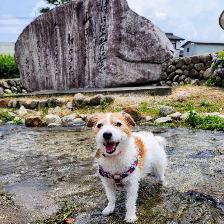 1eb163bf 86c6 422d ac88 fc99ce5ed24d 1751862453331