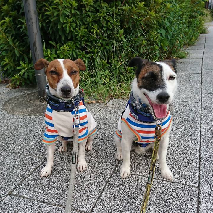 1eb19744 4615 4d19 9423 606f4c906521 1598825103067